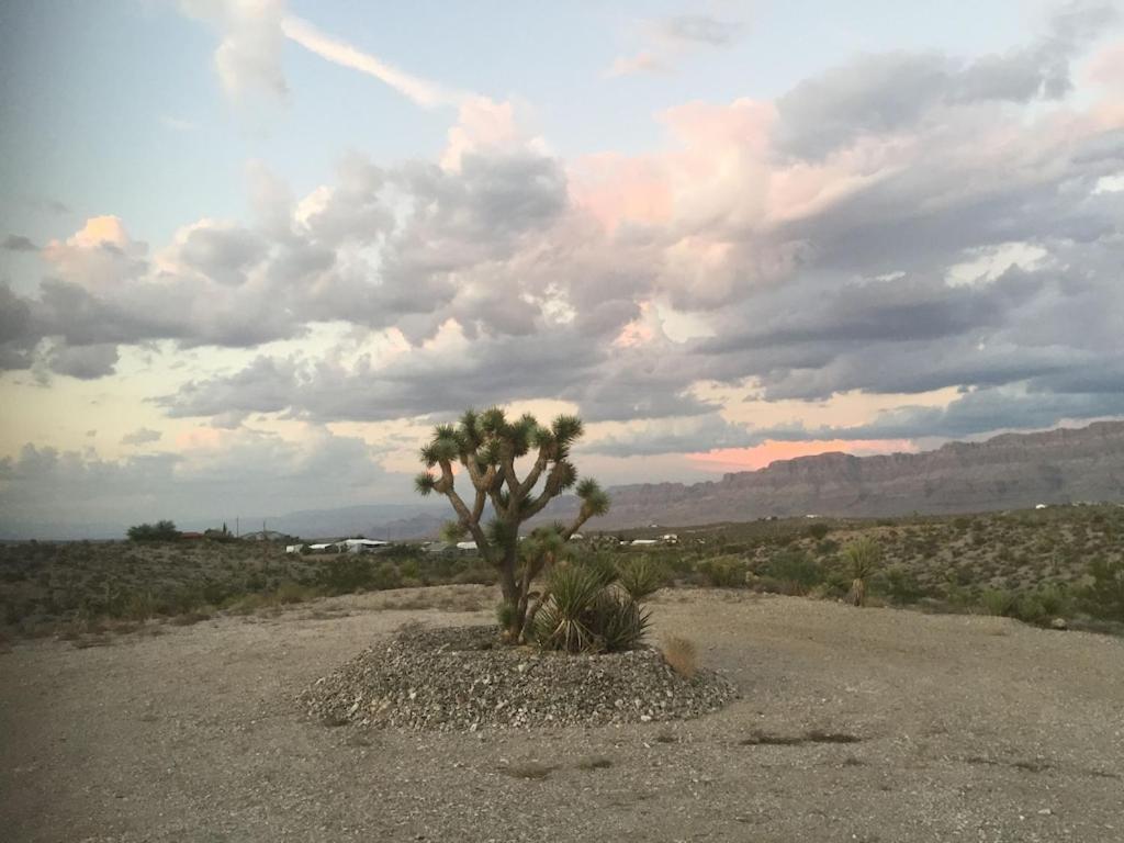 Amazing Views Near Grand Canyon Skywalk Meadview 外观 照片