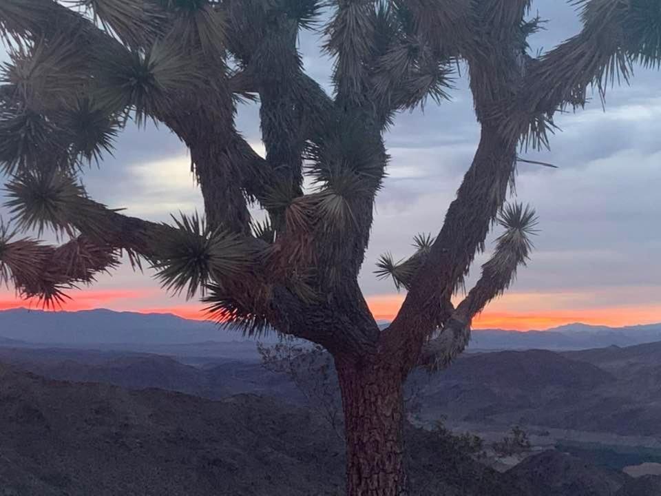 Amazing Views Near Grand Canyon Skywalk Meadview 外观 照片